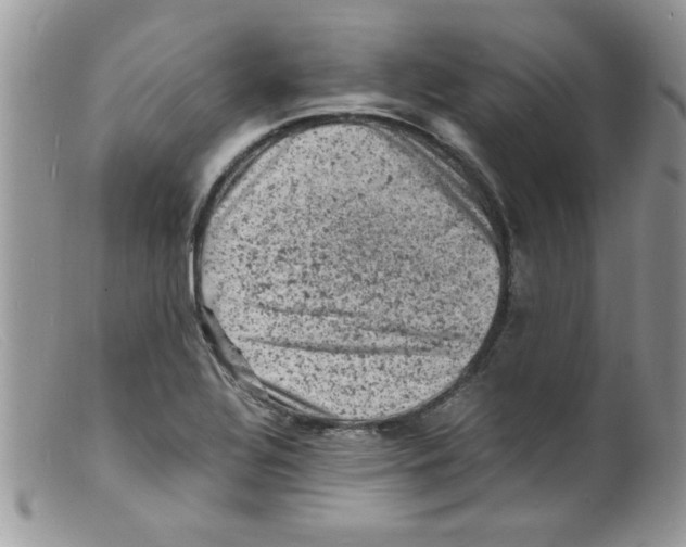 X0000098161320200805151220