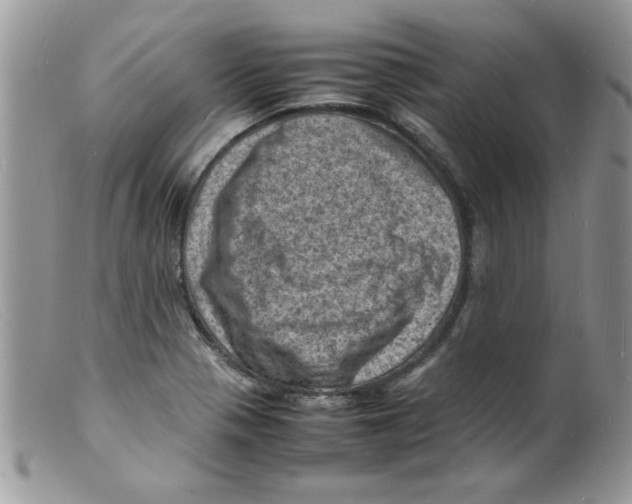 X0000098161321200805151220