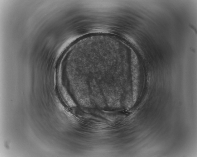 X0000098161323200805151220