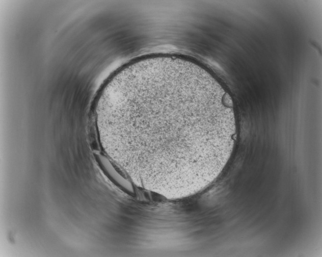 X0000098161326200805151220