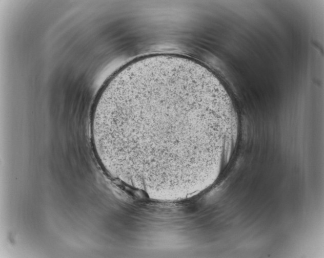 X0000098161328200805151220