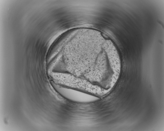 X0000098161332200805151220