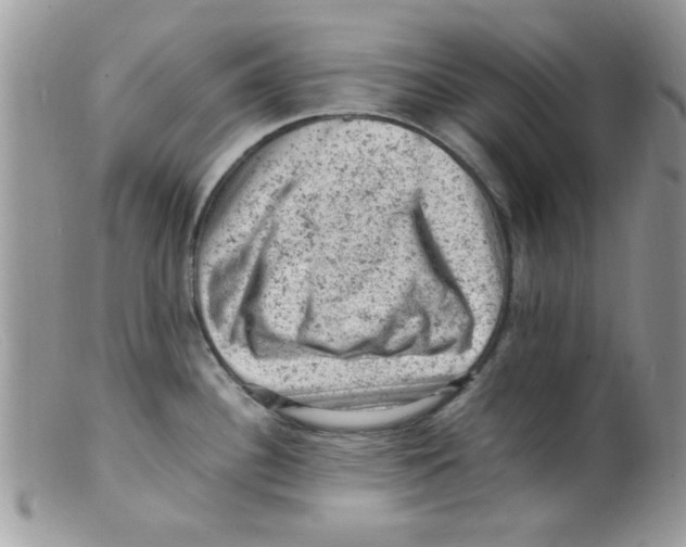 X0000098161340200805151220