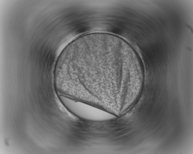 X0000098161341200805151220
