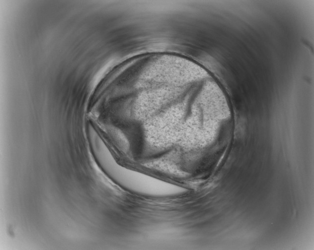 X0000098161342200805151220