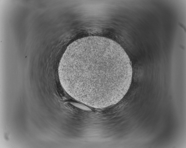 X0000098161345200805151219