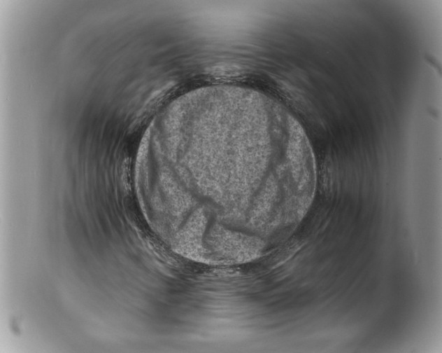 X0000098161346200805151219