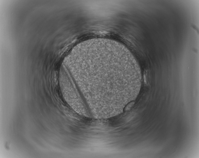 X0000098161347200805151219