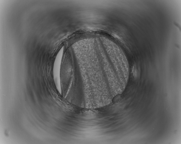 X0000098161348200805151219