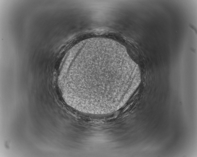 X0000098161349200805151219