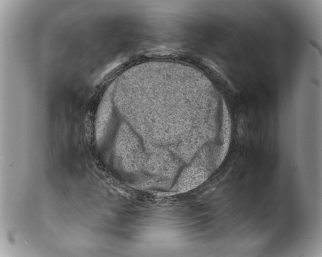 X0000098161350200805151219
