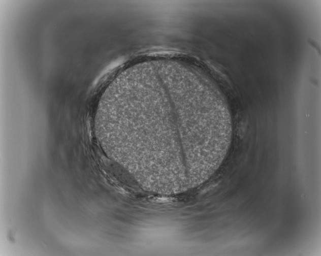 X0000098161351200805151219