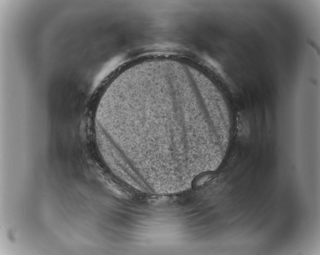 X0000098161352200805151219