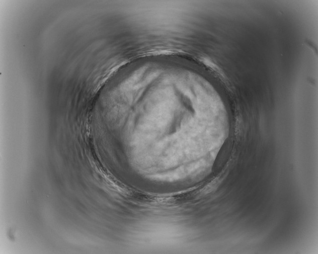 X0000098161353200805151219