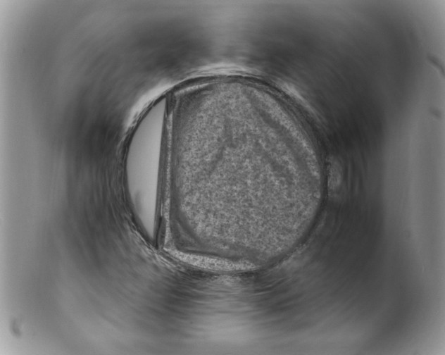 X0000098161358200805151219
