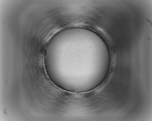 X0000098161361200805151219