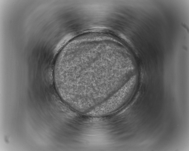 X0000098161362200805151219
