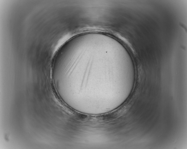 X0000098161365200805151219