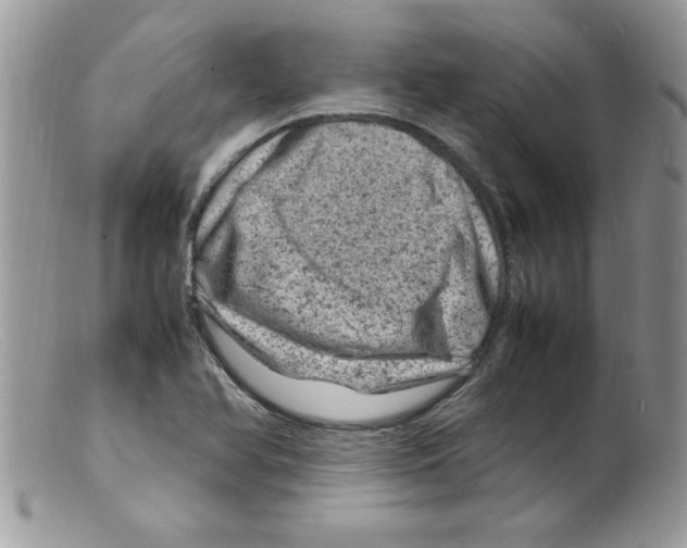 X0000098161366200805151219