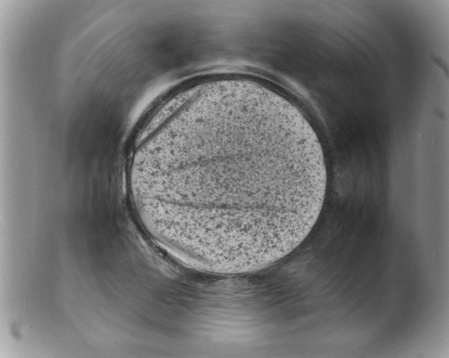 X0000098161368200805151219