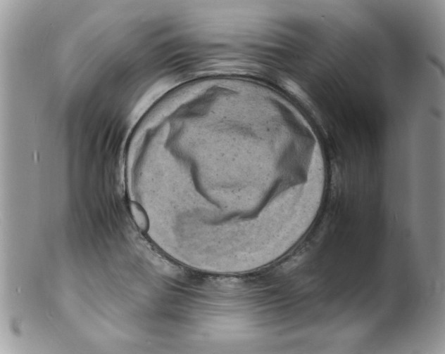 X0000098161370200805151219