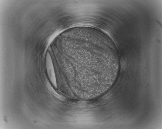 X0000098161371200805151219