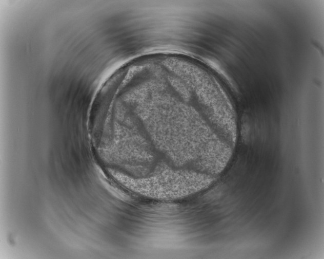 X0000098161372200805151219