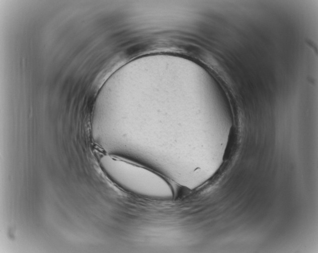 X0000098161377200805151219