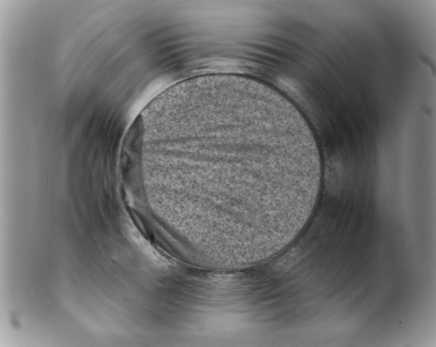 X0000098161378200805151219