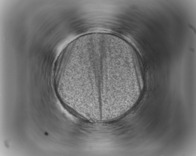X0000098161379200805151219