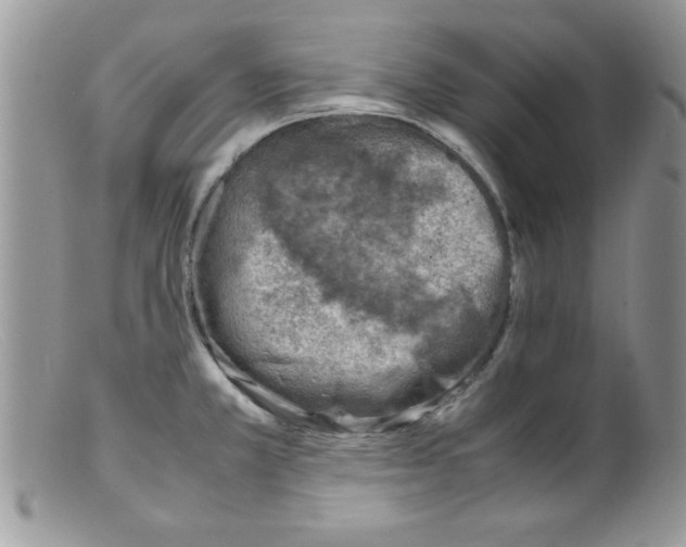 X0000098161381200805151219