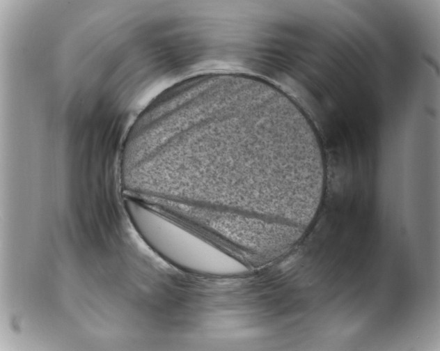 X0000098161382200805151219