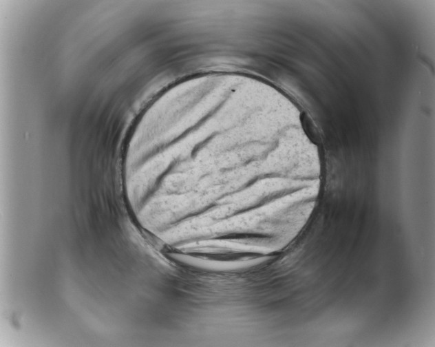 X0000098161384200805151219