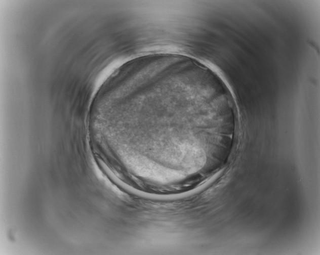 X0000098161389200805151218
