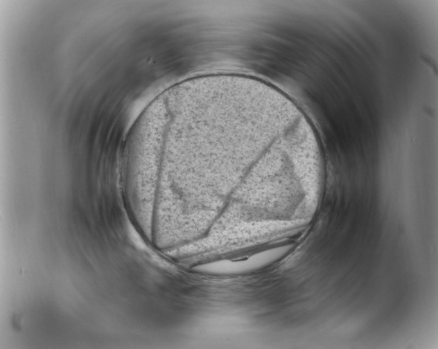 X0000098161390200805151218