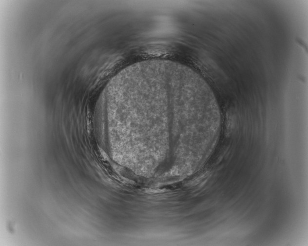 X0000098161394200805151218