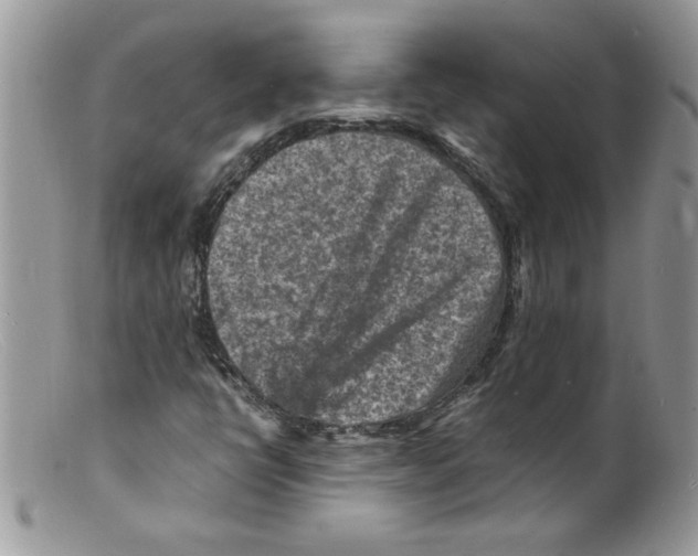 X0000098161398200805151218
