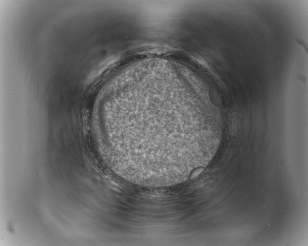 X0000098161399200805151218