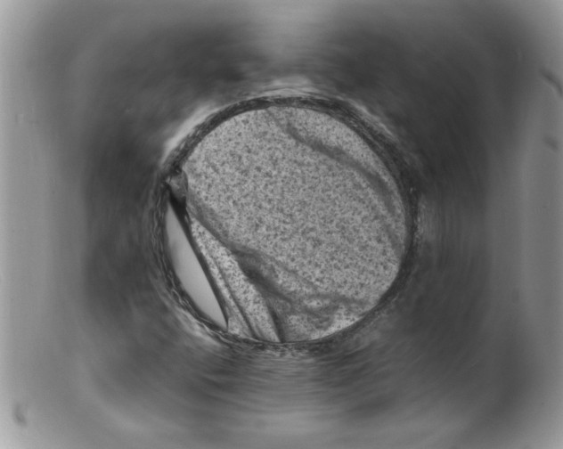 X0000098161400200805151218