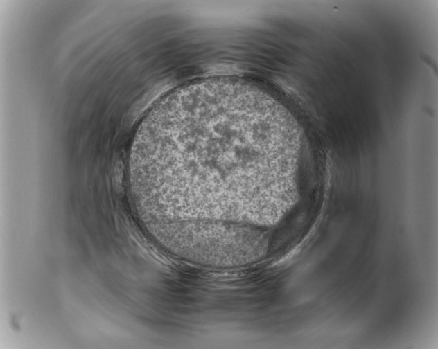 X0000098161401200805151218