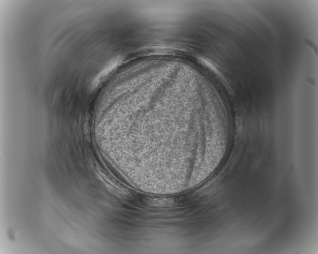 X0000098161403200805151218