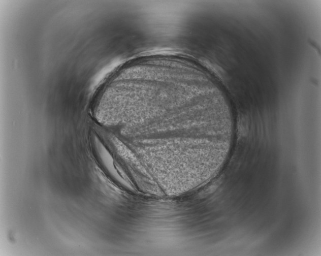 X0000098161406200805151218