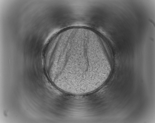 X0000098161408200805151218