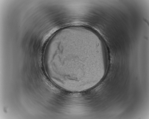 X0000098161410200805151218