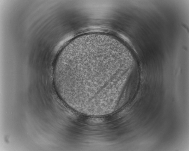 X0000098161411200805151218