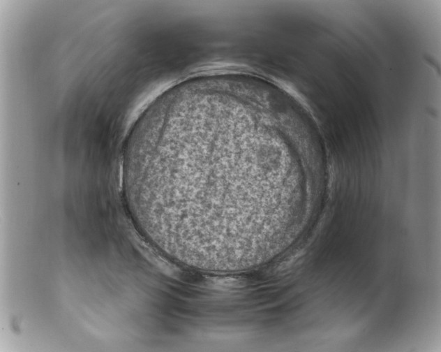 X0000098161413200805151218