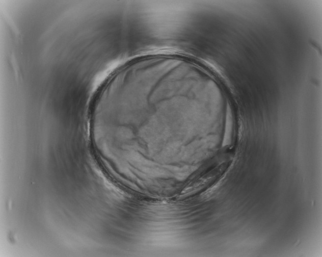 X0000098161414200805151218