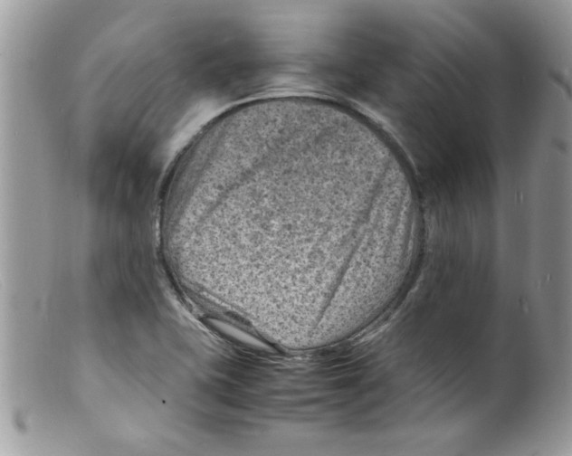 X0000098161415200805151218