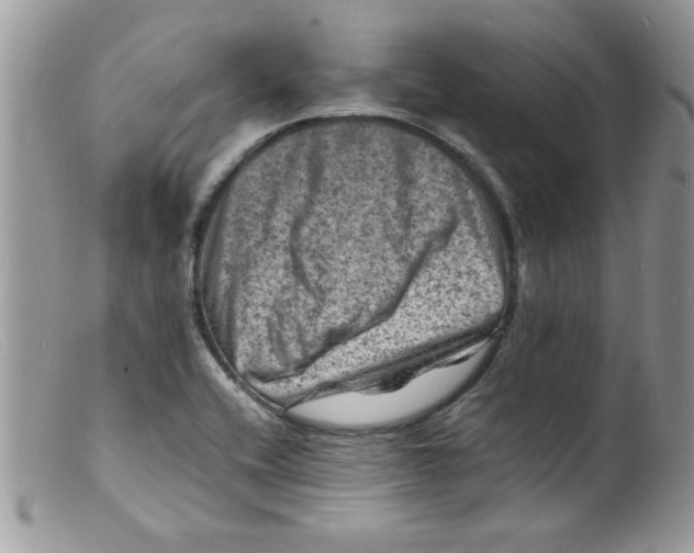 X0000098161416200805151218