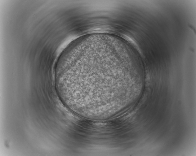 X0000098161419200805151218